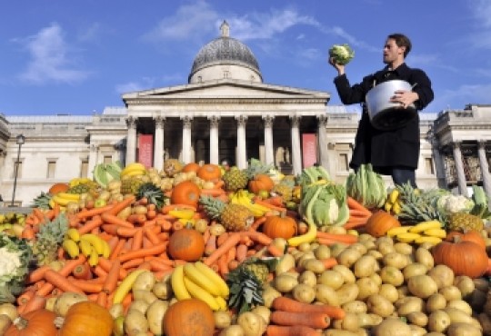 Here's A Reason To Love Disco Again: Stopping Food Waste