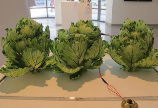 Food art exhibit plays off biotech’s scary potential