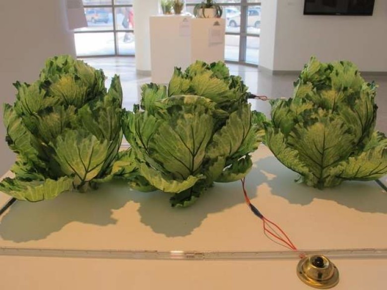 Food art exhibit plays off biotech’s scary potential