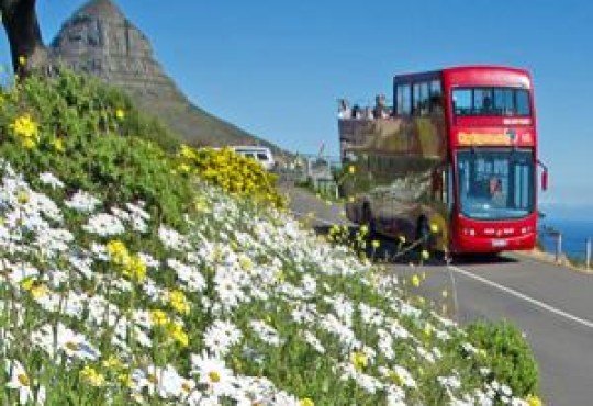 Tourism goes local in the Mother City
