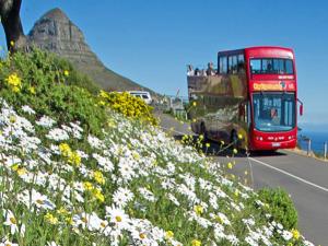 Tourism goes local in the Mother City