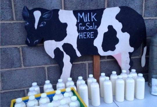 Farm Hit by Falling Milk Prices Sells 'Raw' Milk Direct