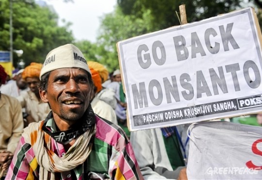 Monsanto's next target: India
