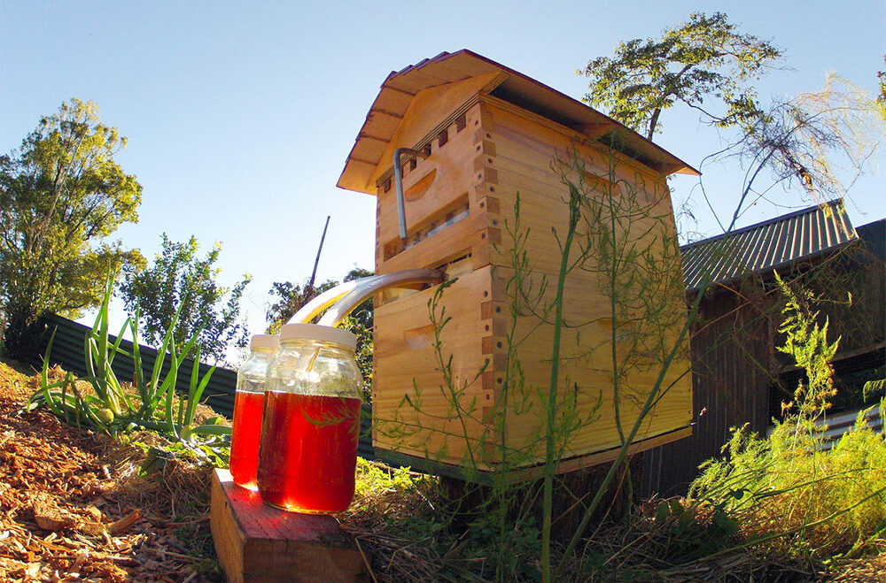 Honey on Tap: A New Beehive that Automatically Extracts Honey without Disturbing Bees