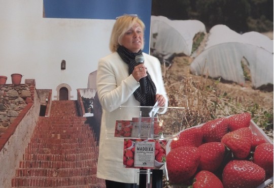 IGCAT invited to speak at the opening of the Vallalta Strawberry Fair