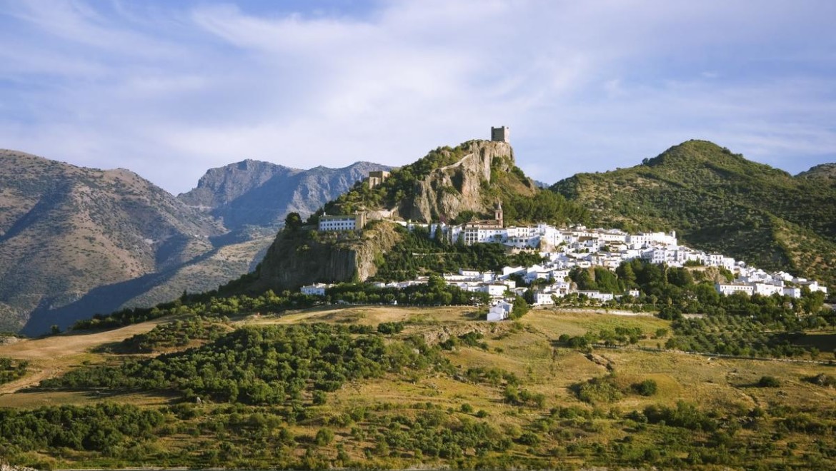 From tree to wine bottle: Eco-tour in Spain follows cork’s path