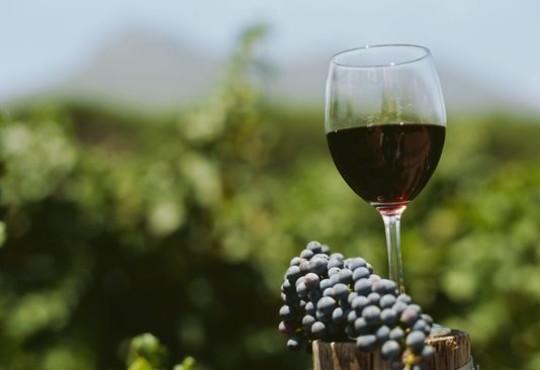 Wine festival brings local wineries together