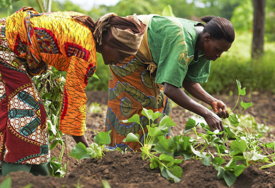 How can food security in Africa be achieved?