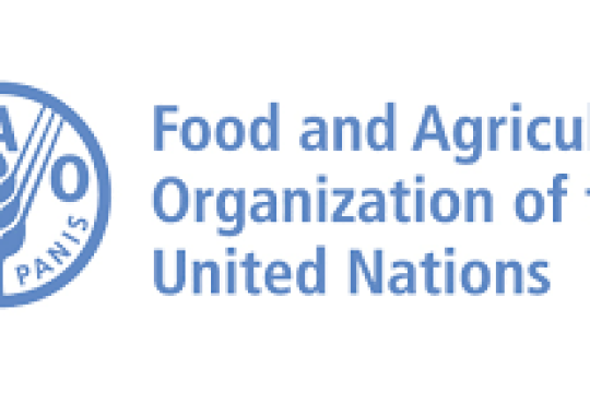 People need affordable food – Food and Agriculture Organisation (FAO)