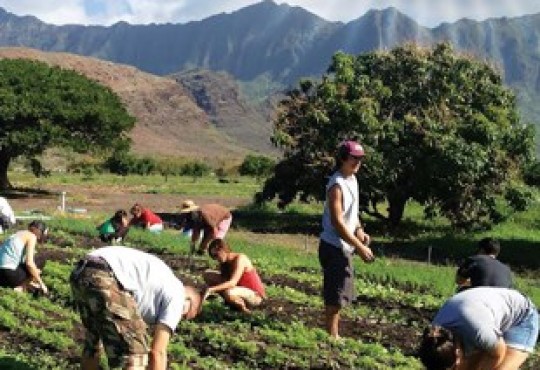 New book describes diverse food challenges faced by Hawaiʻi