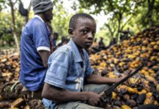 SumOfUs new sign petition : Stop cocoa slavery