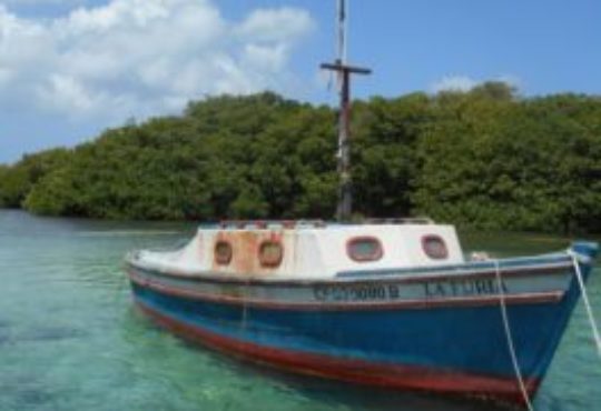 Slow Fish Caribbean: Cooperation, Peace and Sustainability for the Future of Fishing