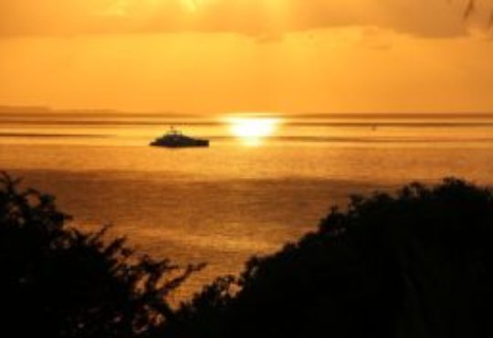Mozambique: Nyusi Urges Profitable and Sustainable Tourism Industry