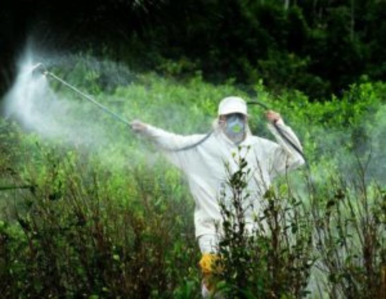 Stop Glyphosate: say no to the herbicide for our health’s sake!