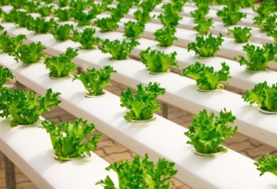 Why we need to rethink how we produce food