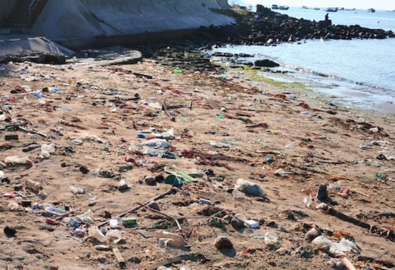 Environmental Justice Impacts of Marine Litter and Plastic Pollution
