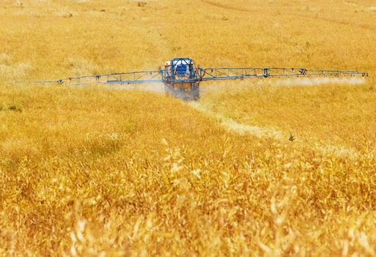 Pesticides in the EU- A Creeping Costly Venom