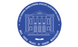Youth Palace Zugdidi_Logo_Adaptation