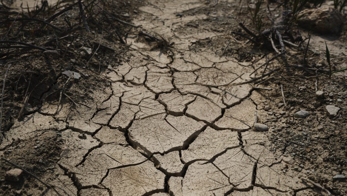 Climate Change Is Driving Millions to the Precipice of a ‘Raging Food Catastrophe’