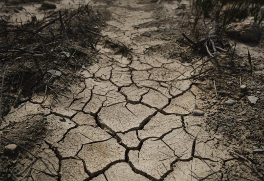 Climate Change Is Driving Millions to the Precipice of a ‘Raging Food Catastrophe’