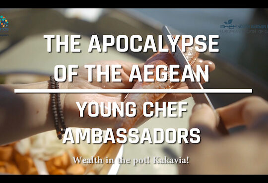 Food Film Menu 2023 – Best Food Film featuring a Young Chef Ambassador