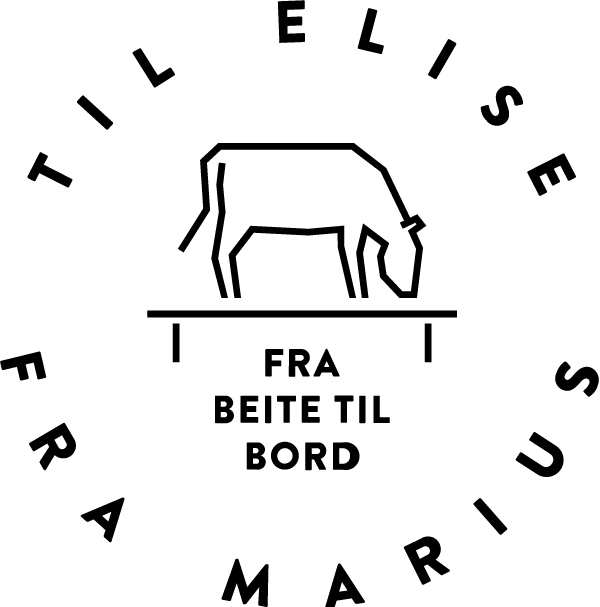 Til-Elise_logo_black.png