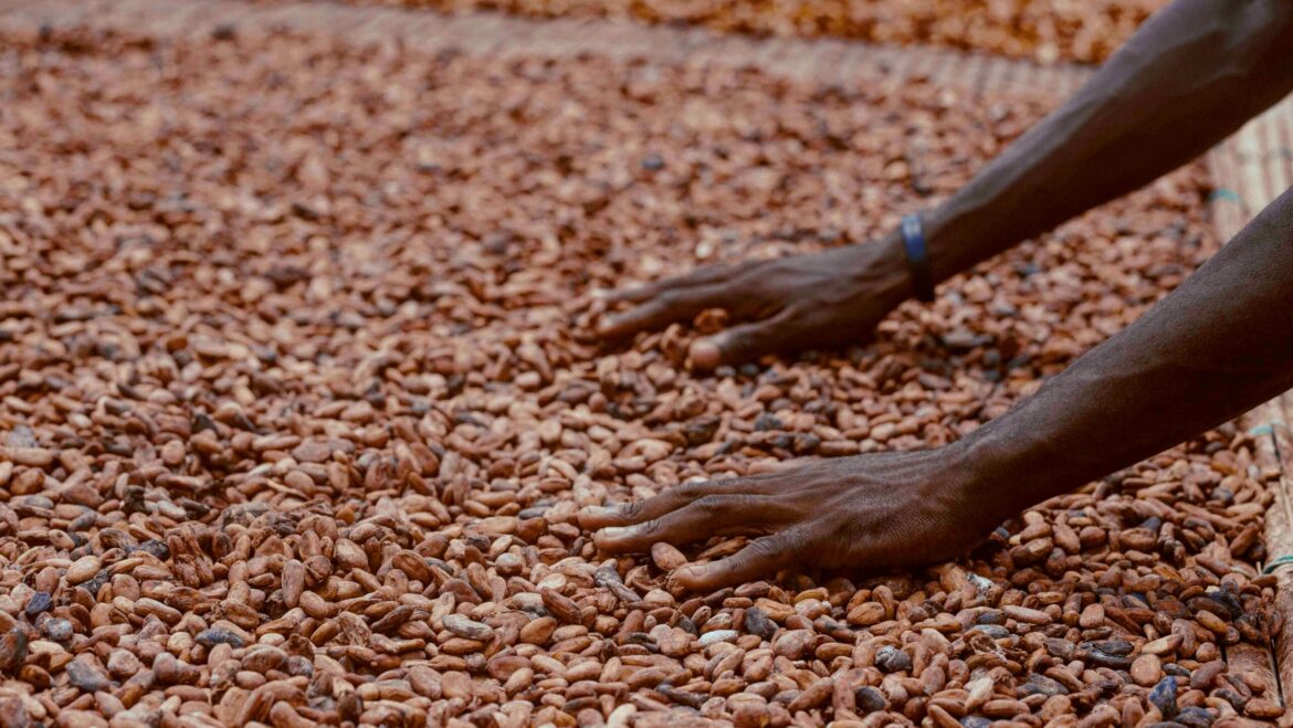 Are philanthropists destroying African farms?