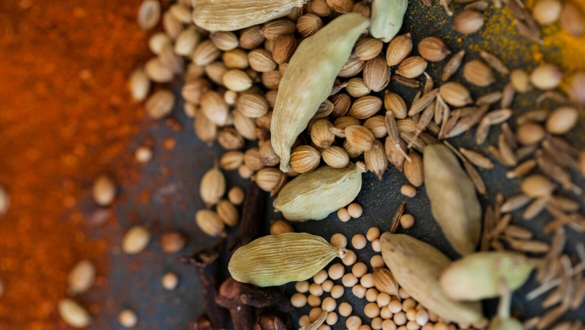 La celebración se encuentra con la urgencia en la última apertura de la bóveda de semillas en Svalbard