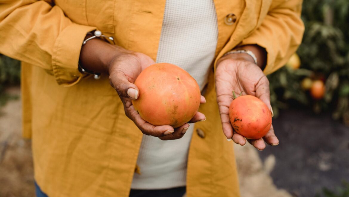 Turismo Food for Good: Co-Creando Sistemas Alimentarios Sostenibles en el Sector Turístico