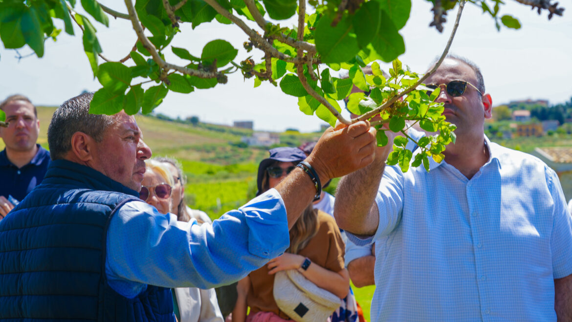 Balance, Access & Investment: The Path to a Regenerative Shift