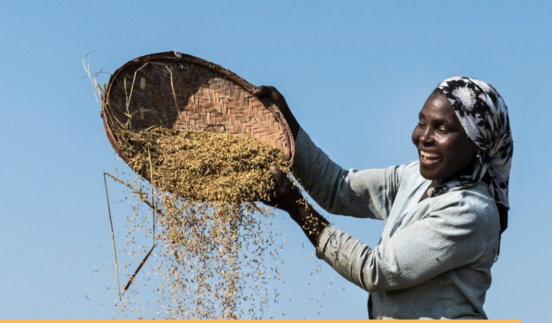 Cultiver l’espoir : soutenez le Réseau de la Slow Food en Afrique