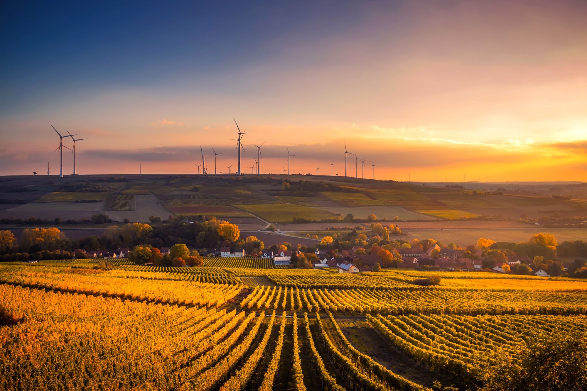 UNCCD Webinar_Banner Background (Farmland)